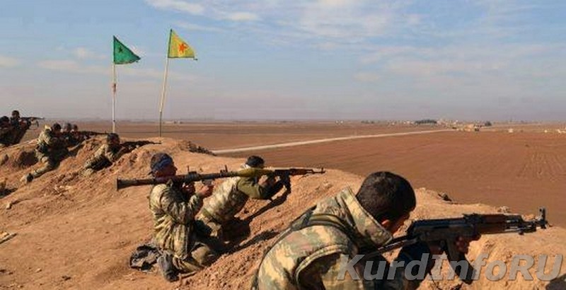 Курдские ополченцы уничтожили  40  террористов
