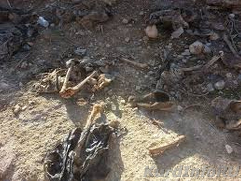 Обнаружена братская могила жертв террористов
