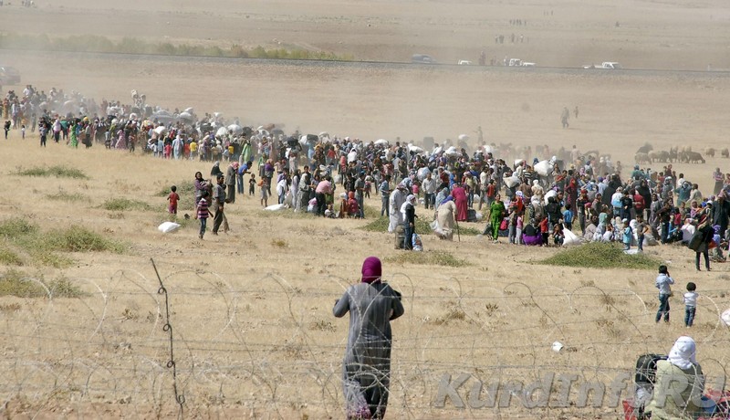 Беженцы возвращаются в Западный Курдистан