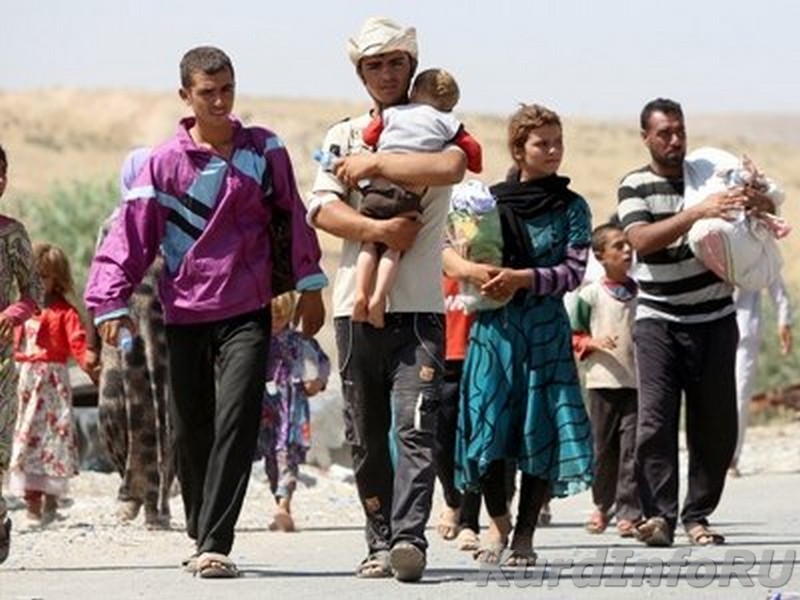 Езиды Ирака: «Эта страна не является нашим домом»