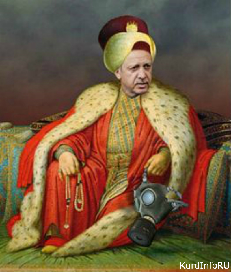 Очередная фантазия Эрдогана