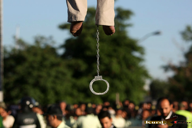 Власти Ирана казнили 36 заключенных