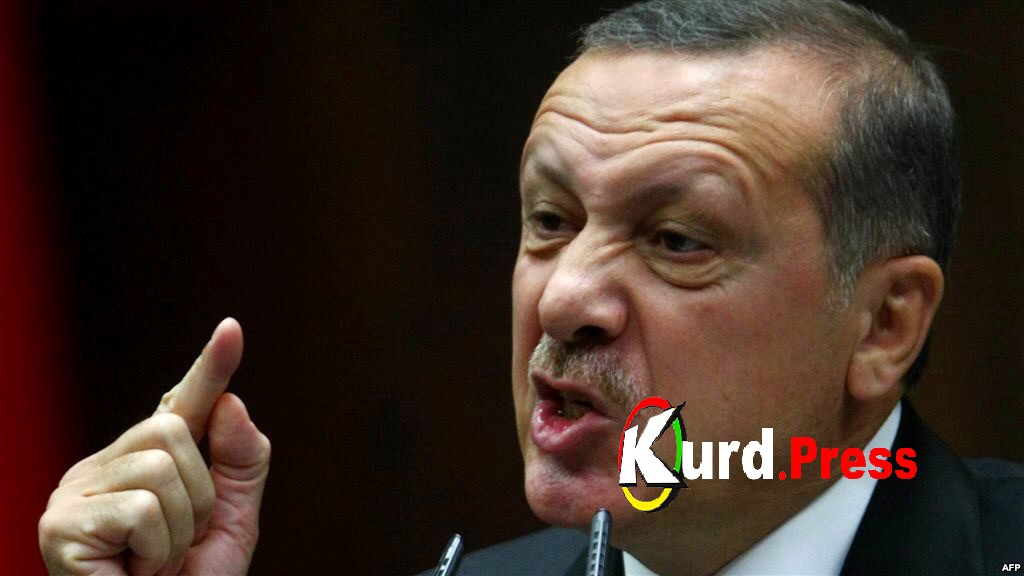Агрессия Эрдогана может привести к расколу Турции