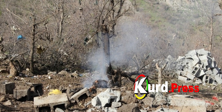 Турецкая армия обстреляла деревню в Оремаре
