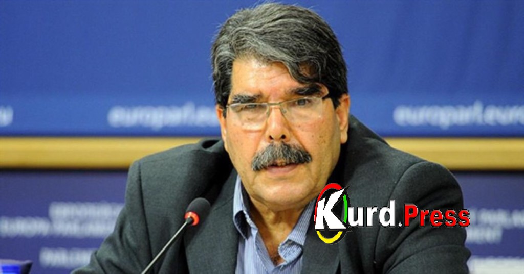 Салех Муслем: только курды хотят решения проблем Сирии