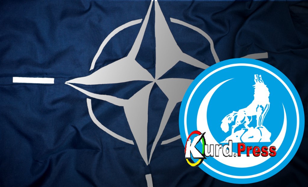 НАТО и ультраправые : турецкая история