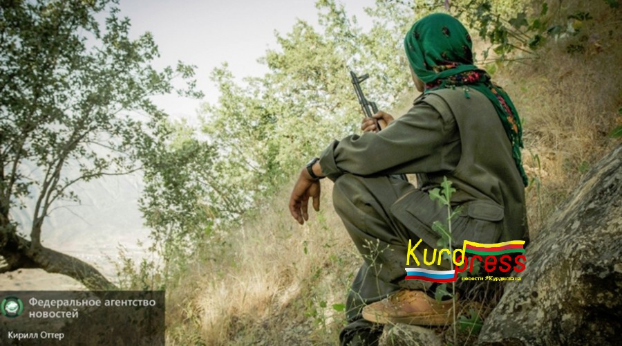 Курды о турецких карателях: они выглядят, как ДАИШ, и действуют, как ДАИШ