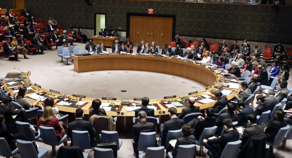 Дамаск пожаловался в СБ ООН на агрессию Турции