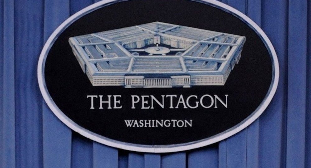 Пентагон заявил, что США не передавали ОНСЗК ПЗРК