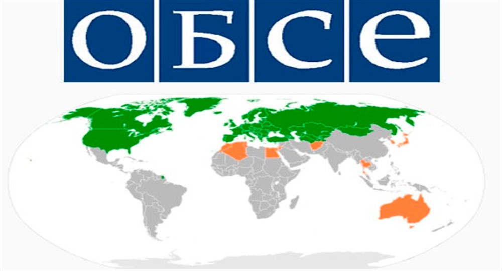 ОБСЕ: референдум в Турции не соответствовал нормам Совета Европы