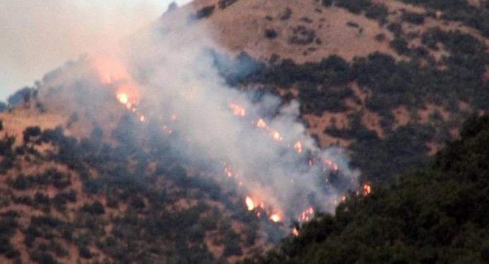 Турецкие солдаты уничтожают леса в провинции Дерсим