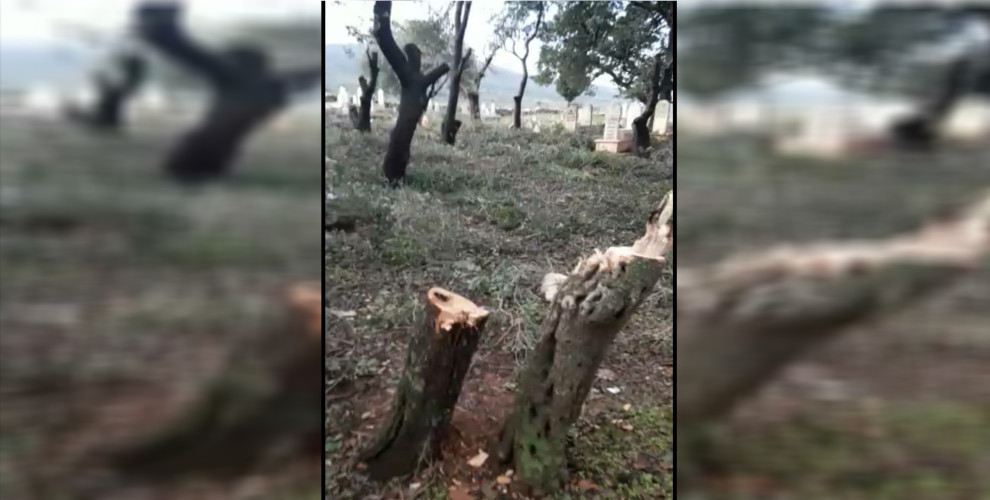 В Африне турецкие наемники уничтожают святыни