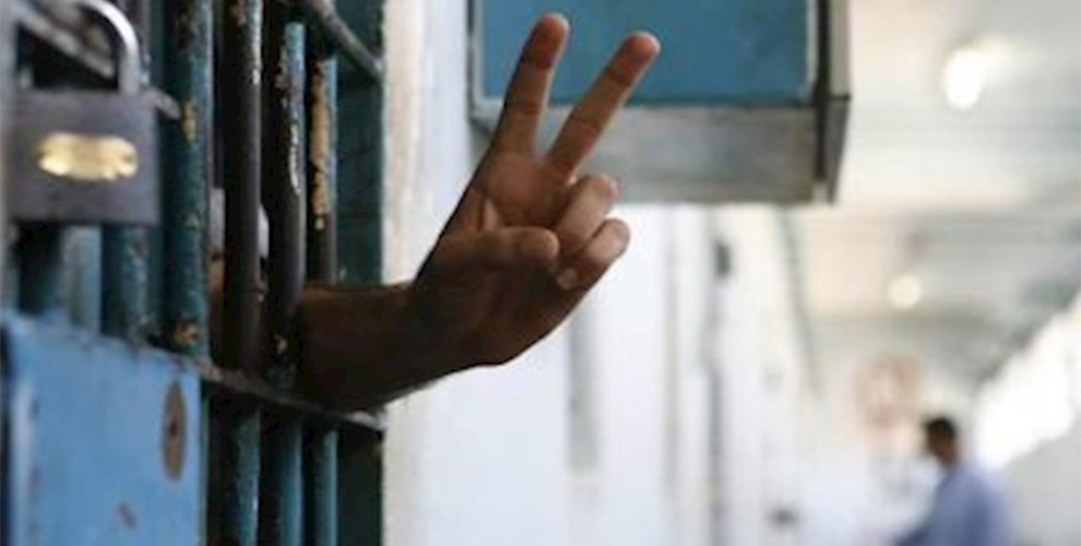 331 осужденный проводит голодовку
