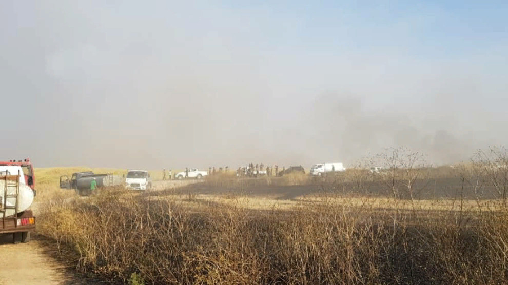 3000 га земли стали жертвой пожаров в Джизре