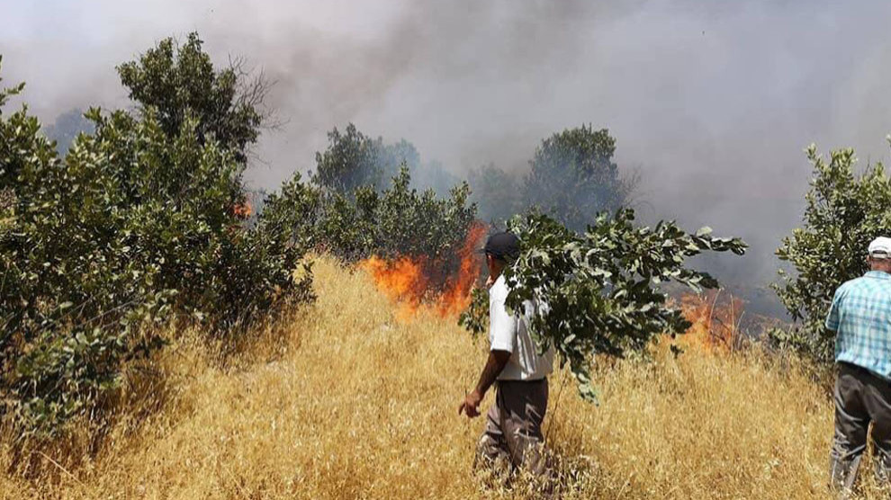 Пожар на горе Багок угрожает гражданским поселениям