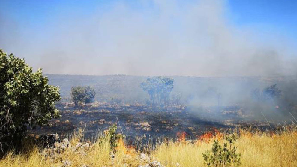 Турецкая армия не дает тушить пожары в Багоке