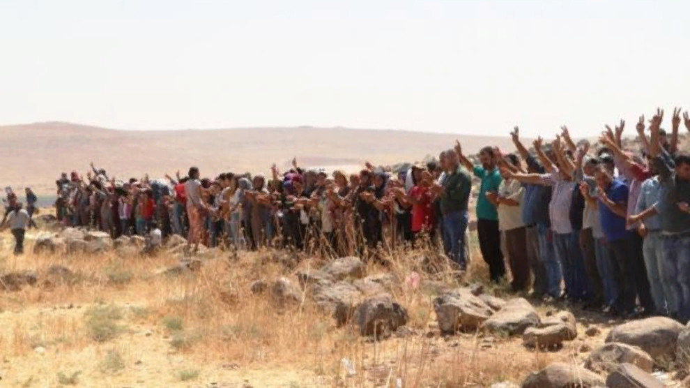 Акция «Живой щит» в Кобани и Серекание продолжается