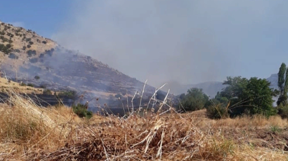 Турецкая армия сжигает леса в Омеряне и Мардин