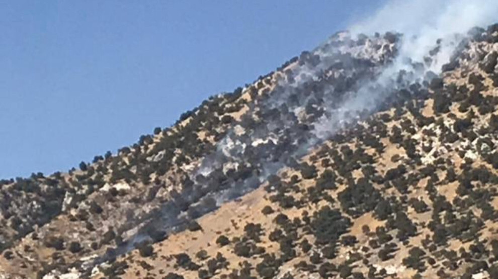 Турецкая армия устроила пожар в лесу на горе Джуди