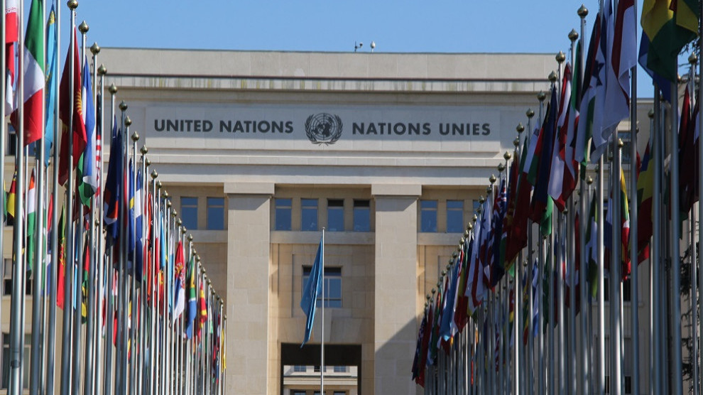 НПО, политики, ученые призвали ООН действовать незамедлительно