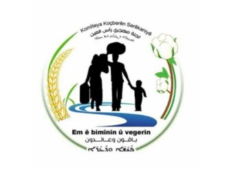 Заявление комитета по мигрантам Сарекание, приуроченное ко Всемирному дню беженцев