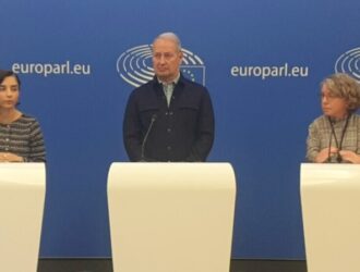 Представители курдов в Европейском парламенте призывали Турцию прекратить нападения