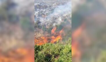 Турция намеренно поджигал леса в Африне
