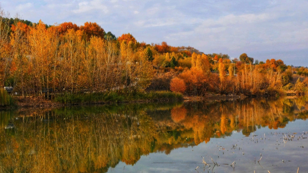 Сады Хевсель – чудо природы