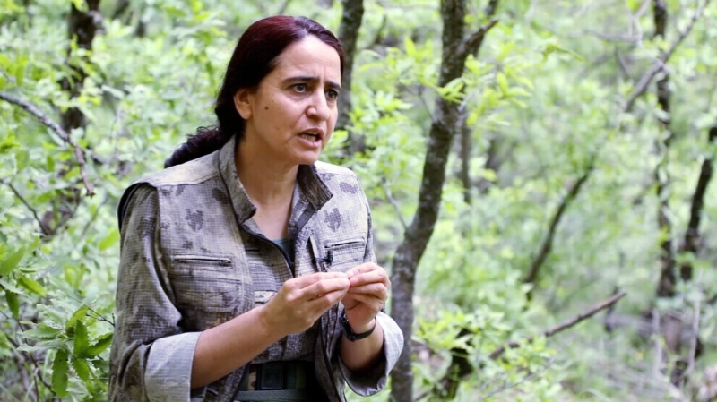 Зозан Чевлик: 15 августа имеет историческое значение для курдских женщин