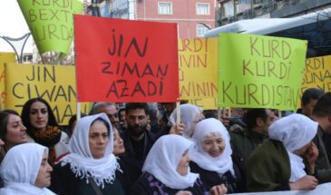 24 организации в Ване требуют статуса для курдского языка