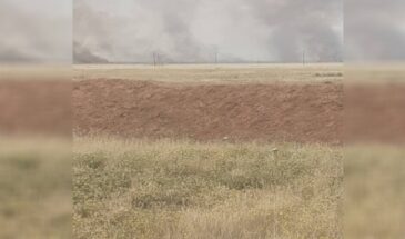 Протурецкие боевики поджигают сельскохозяйственные поля в Рожаве