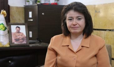 Амина Хыдыро: призыв Оджалана получил международную поддержку