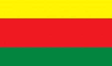 ДДО: СДС – единственная надежда народов Сирии