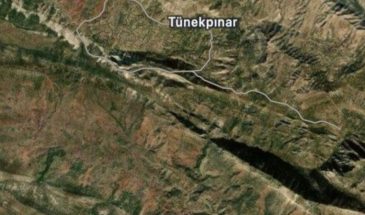 Солдаты отобрали телефон у гражданина, снимавшего вырубку леса в Габаре