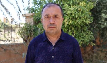 Ибрагим Шехо: сбор оливок в Африне превратился в хаос и узаконенный грабёж фермеров