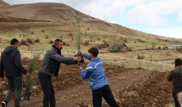 На горе Артос в Ване разбили сад в память Рожин Кабаиш