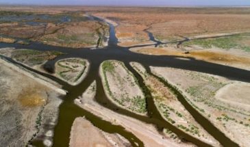 Турция отказывается поставлять воду из Евфрата и Тигра в Ирак
