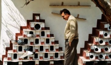 Дорога к свободе для всего живого – часть I