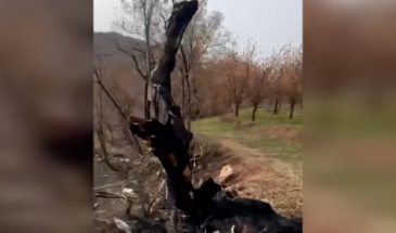 Кадры разрушений в деревне Шелаз в Южном Курдистане