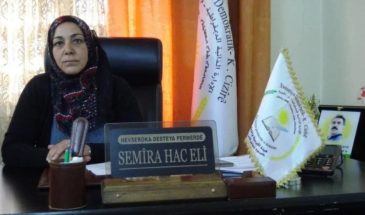 Самира  Али: женщины составляют около 80% системы образования Автономной администрации