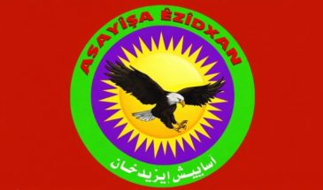 В Шенгале введён запрет на продажу пиротехники в преддверии Нового года