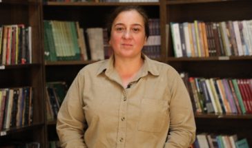 Беритан Сарья: «Два государства атакуют два района»