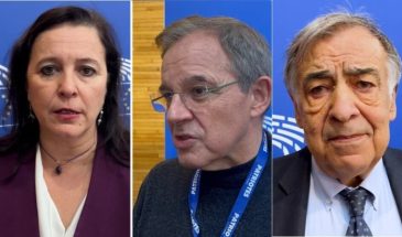 Депутаты Европарламента: мы поддерживаем курдский народ