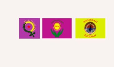 Курдские организации в России выразили тревогу из-за роста насилия в Иране и Сирии