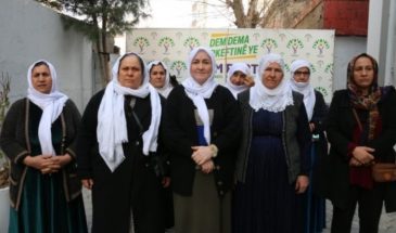 Матери мира едут в Анкару с протестом по поводу ударов по Алеппо