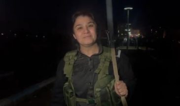 Несрин Абдулла обратилась к курдам за рубежом с призывом заявить о своей поддержке