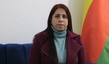 Рамзия Мухаммед: физическая свобода Оджалана — ключ к миру и правам курдского народа