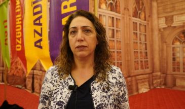 Салиха Айдениз: народная парадигма в регионе оказалась под угрозой