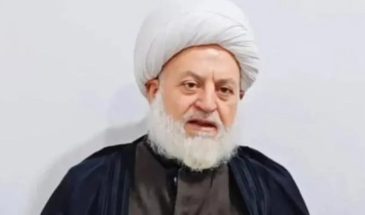 Шейх Хезал: кризис в Сирии неизбежно отразится на Турции и всём регионе