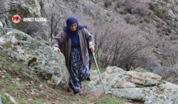 70-летняя женщина взбирается на гору в поисках памяти